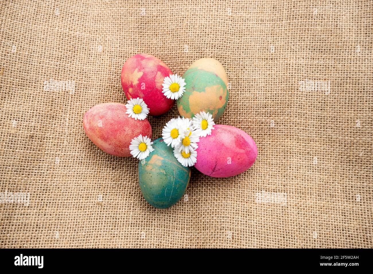 Natürlich gefärbte Eier mit Gänseblümchen auf Jute Stoff Hintergrund. Stockfoto