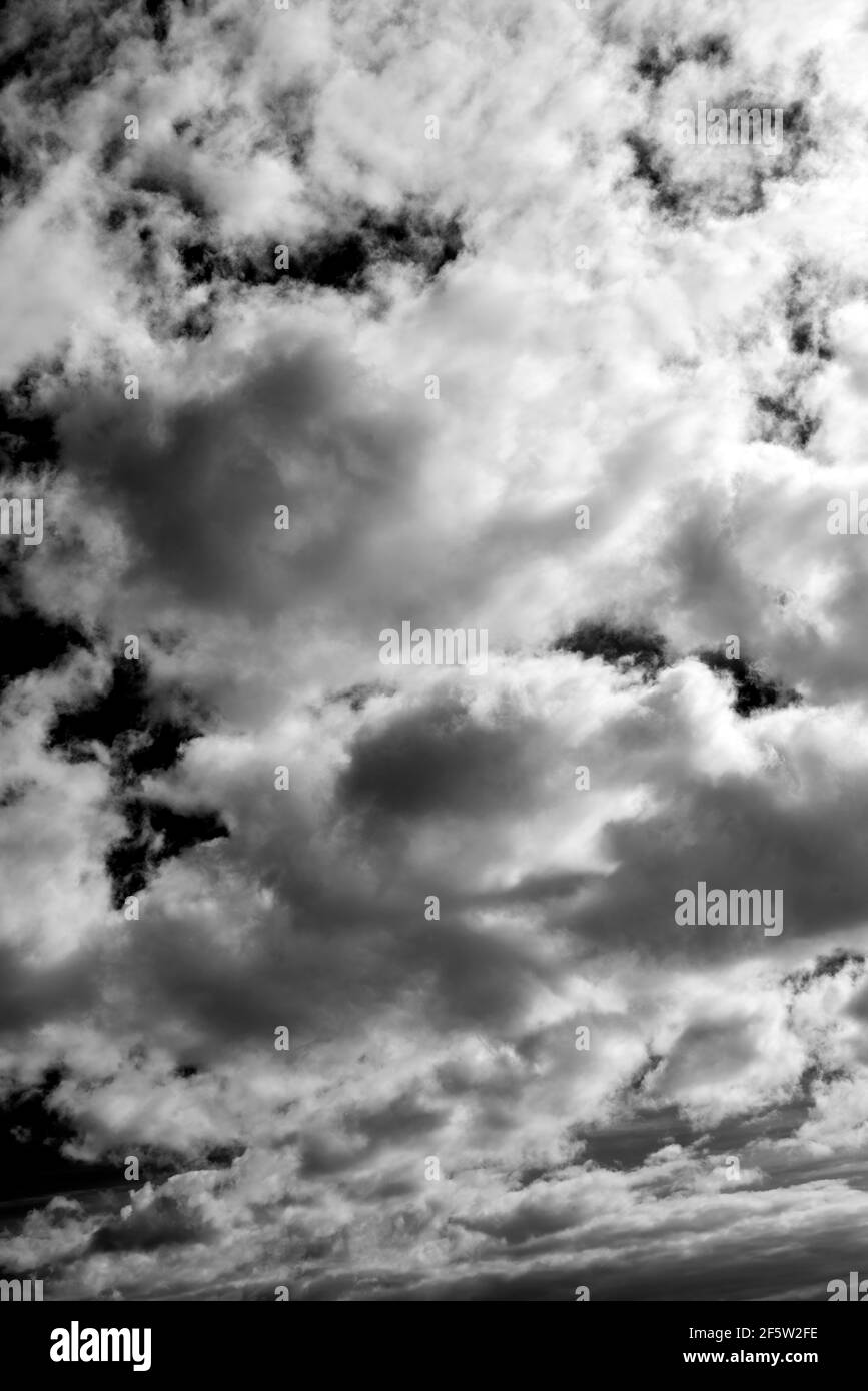 Cloudscape Hintergrund Textur der weißen flauschigen Cumulus Wolken, Schwarz und Weiß monochrom Stock Foto Bild Stockfoto