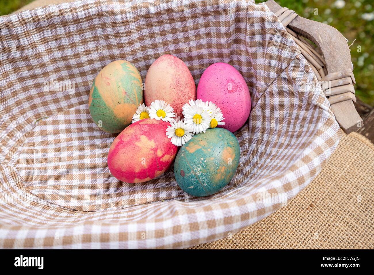 Osterschatzjagd Konzept. Gefärbte Eier mit Gänseblümchen in einem Weidenkorb. Eine Wiese voller Gänseblümchen im Hintergrund. Stockfoto