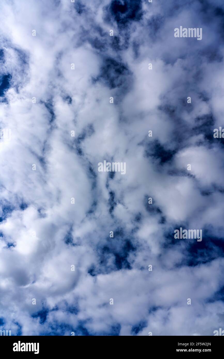 Moltescape Hintergrund Textur von weißen flauschigen Cumulus Wolken mit einem blauen Himmel, Stock Foto Bild Stockfoto