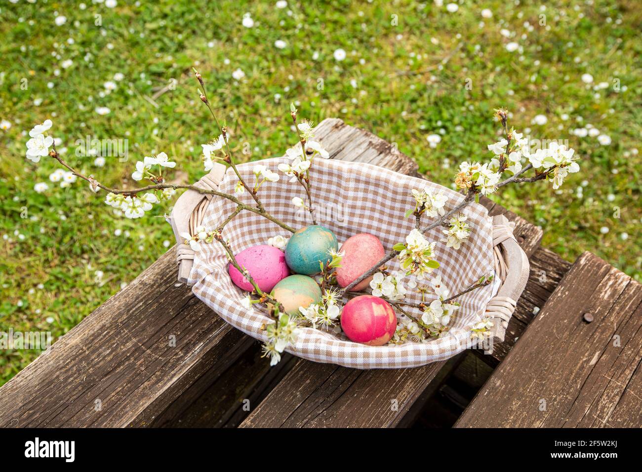 Frühling und Osterkonzept. Ein Weidenkorb gefüllt mit naturfarbenen Eiern und Pflaumenblütenzweigen auf einem Holztisch. Ein Garten voller Gänseblümchen Stockfoto