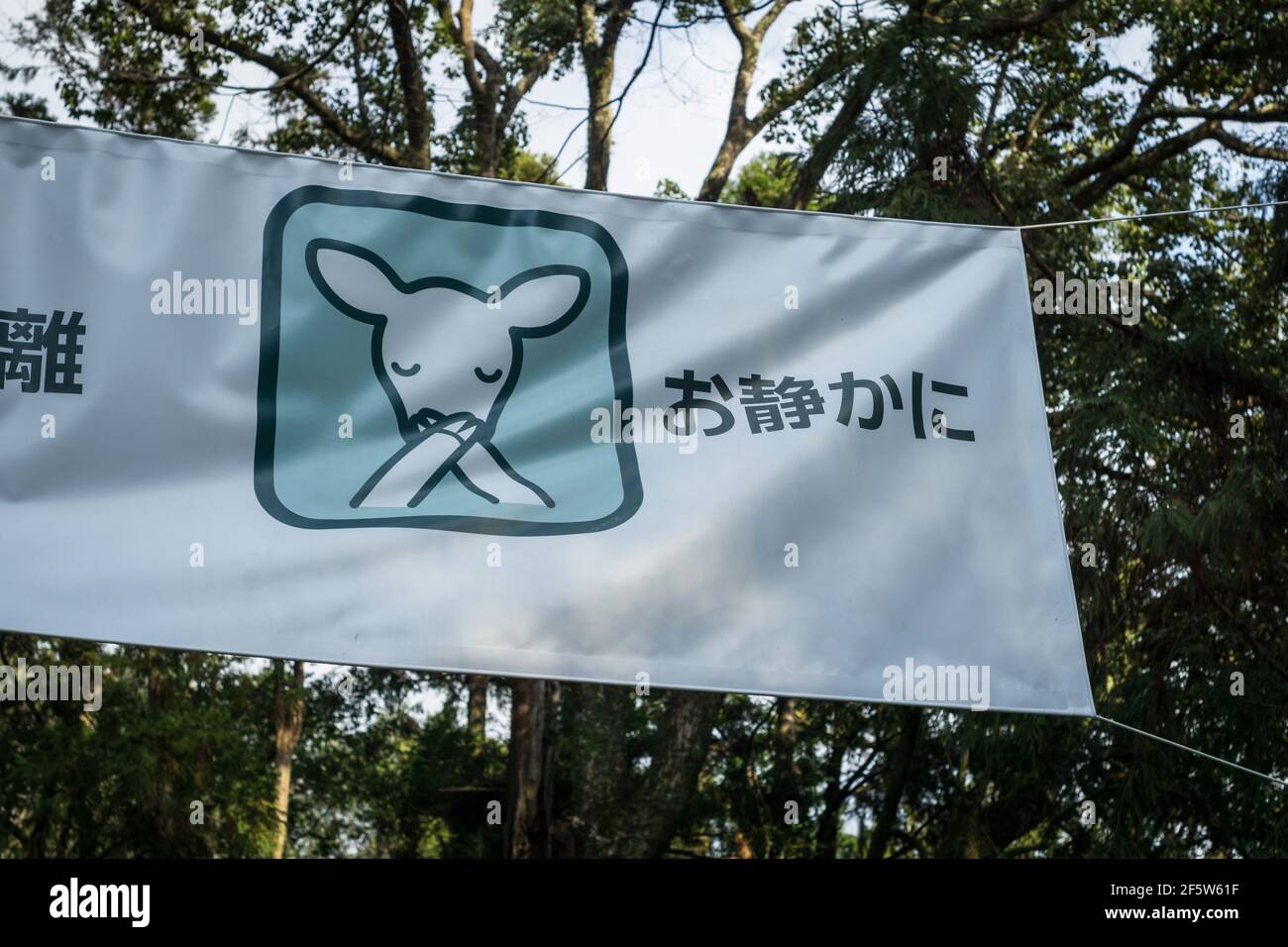 Coronavirus misst Plakat in Kasuga Taisha ein großer Schrein in Nara, Japan, mit Bildern der lokalen Hirsche, eine beliebte Attraktion im Nara Park Stockfoto