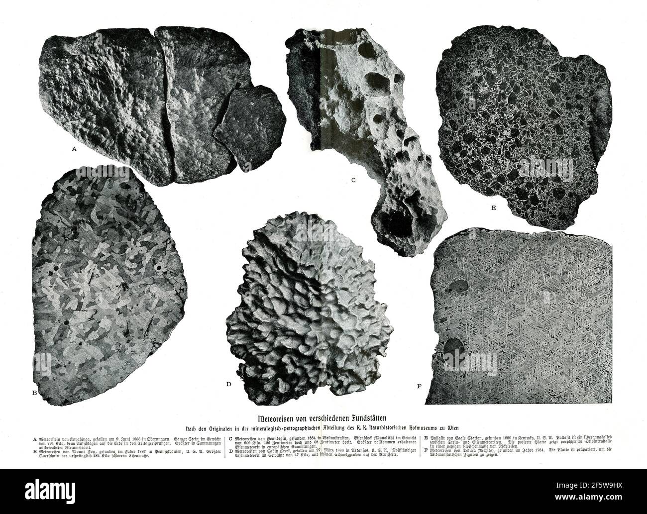 Meteoritisches Eisen aus verschiedenen Fundstellen, so die Originale in der Mineralogisch-Petrographischen Abteilung des Naturhistorischen Museums in Wien Stockfoto