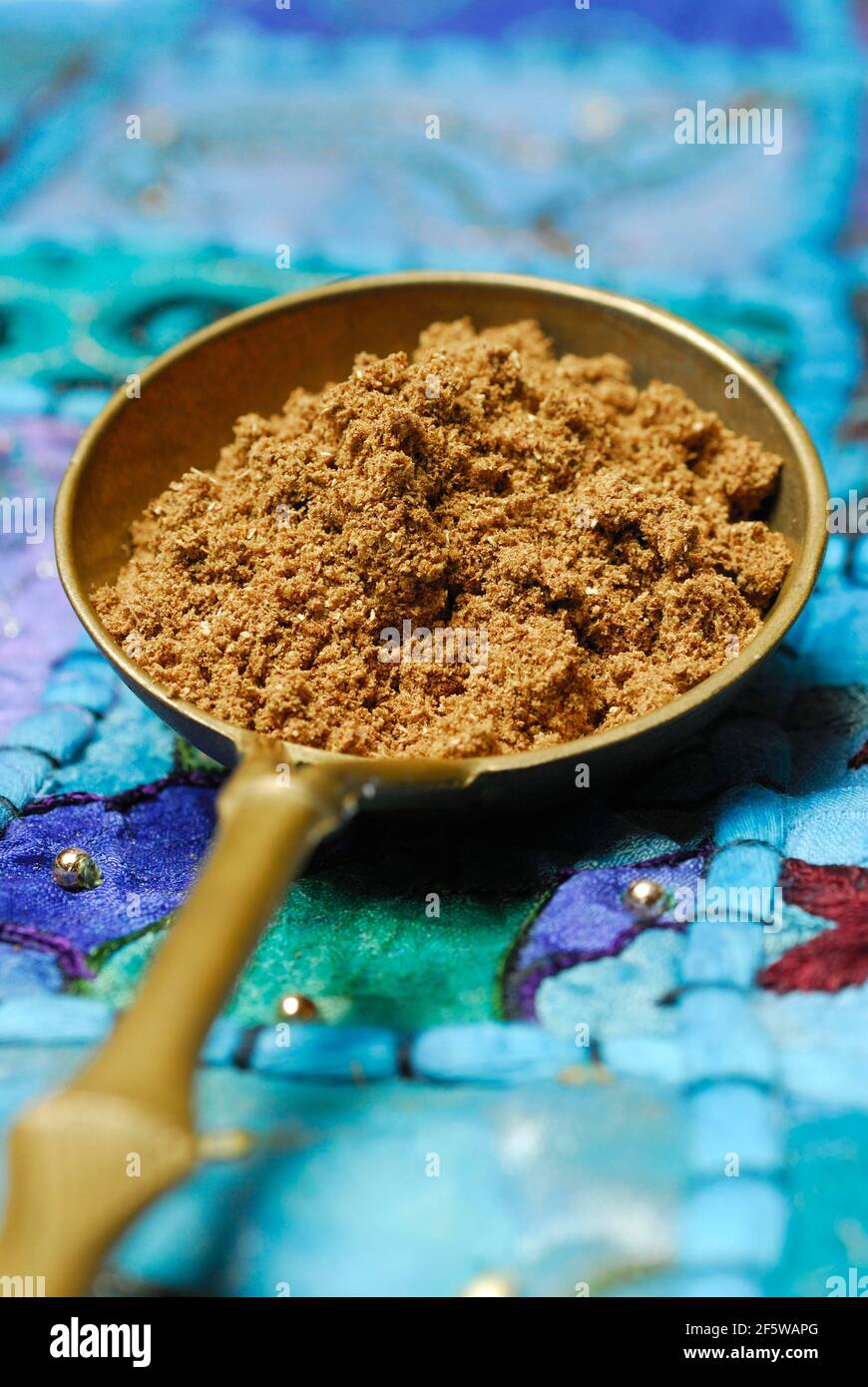 Garam Masala, indisches Gewürzpulver, Gewürzmischung, Löffel Stockfoto