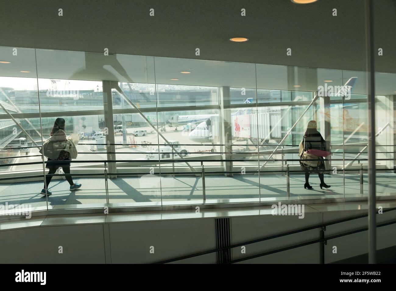 Passagiere im gläsernen Gang, Flughafen, Tokio, Japan Stockfoto