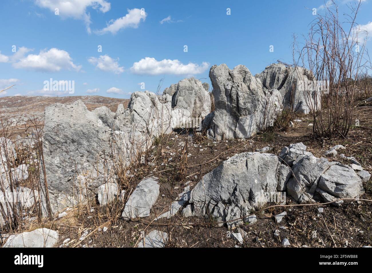 Karst nach der jährlichen Verbrennung im Akiyoshi-dai quasi Nationalpark, Japan Stockfoto