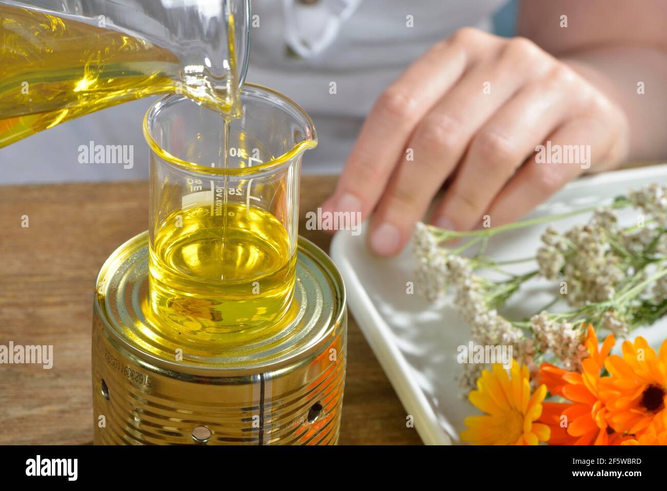 Herstellung von Schafgarbe und Ringelsalbe (Calendula officinalis) (Achillea millefolium) / Stockfoto