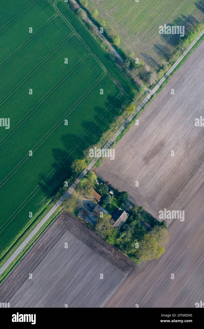 Bauernhof, Diepholzer Moorniederung, Kreis Vechta, Niedersachsen, Deutschland Stockfoto