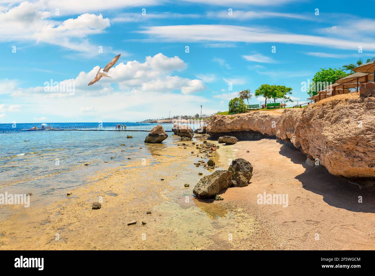 Blick auf den ägyptischen Strand am Roten Meer Stockfoto