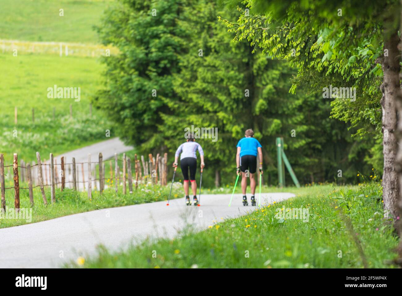 CC-Skifahrer während einer Trainingseinheit im Sommer Stockfoto