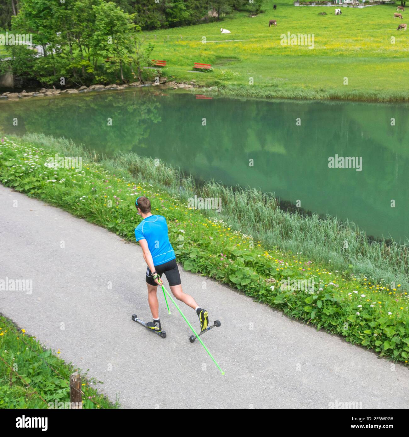 CC-Skifahrer während einer Trainingseinheit im Sommer Stockfoto