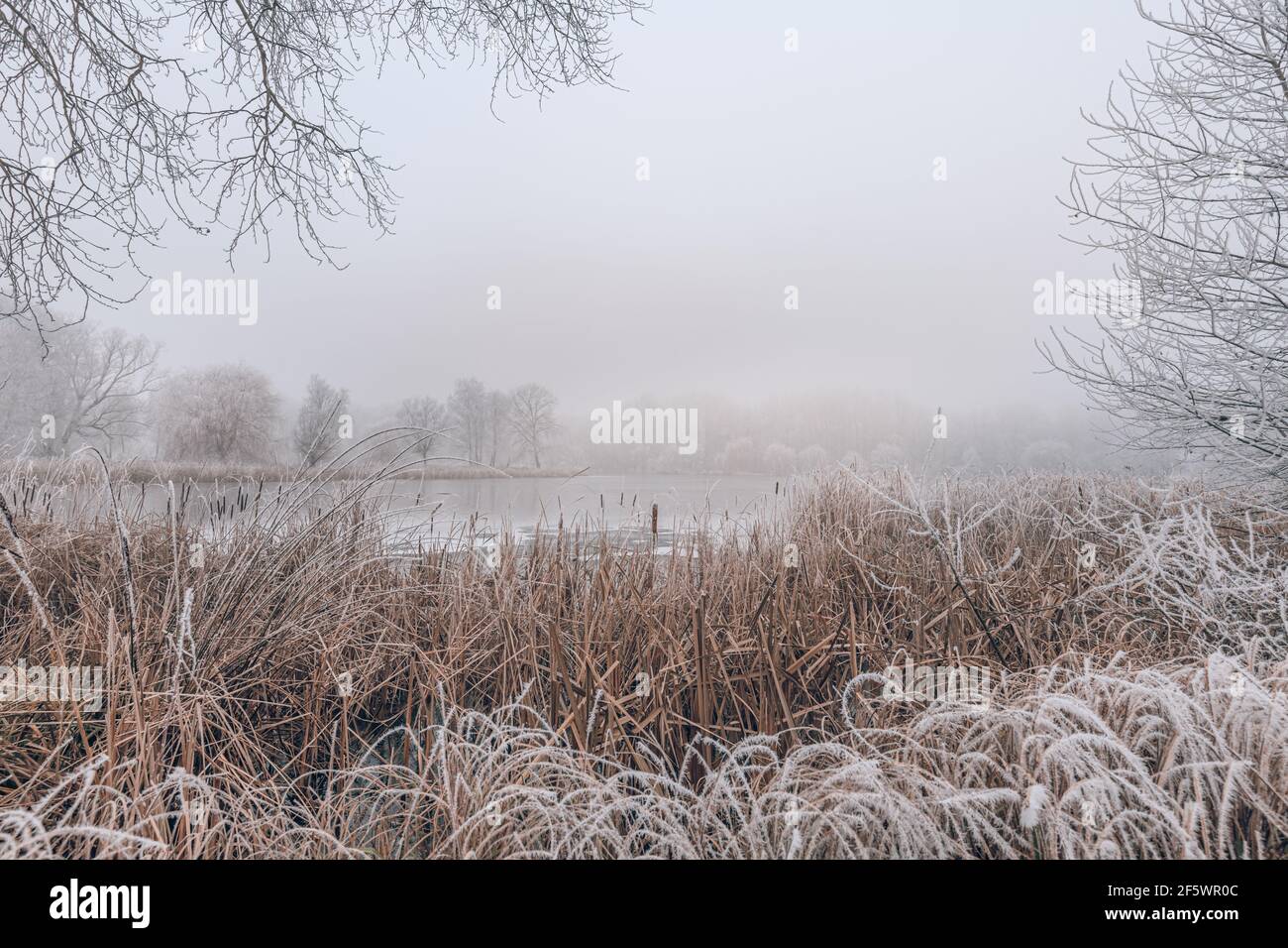 Gefrorener See in verschneite Waldlandschaft. Weißer Himmel weicher Sonnenuntergang Sonnenaufgang Licht, idyllische weiße Natur. Winter-Scow-Landschaft, saisonale Natur Stockfoto