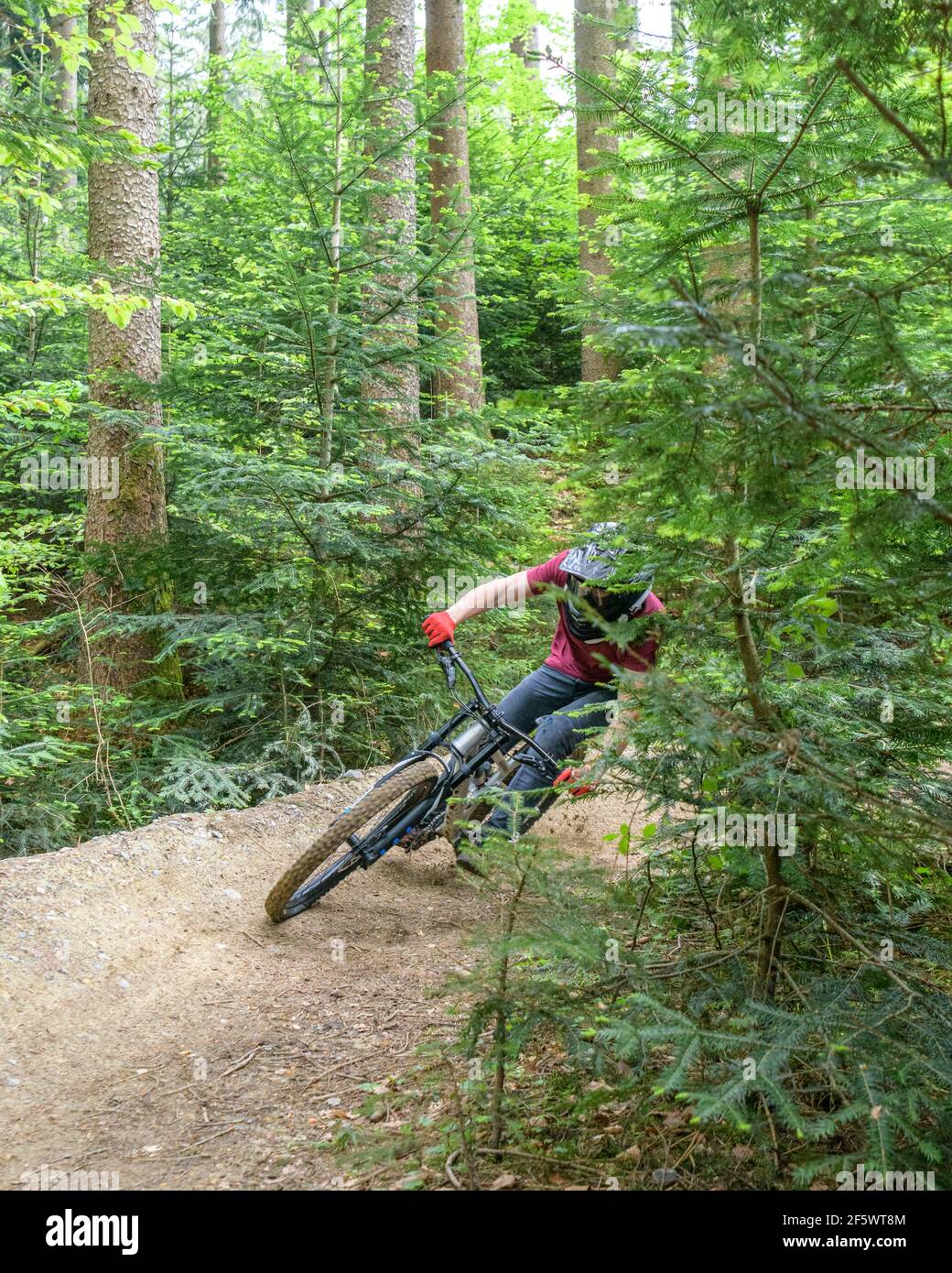 Mountainbike Rider eine mutige bergab auf Waldwegen Stockfoto