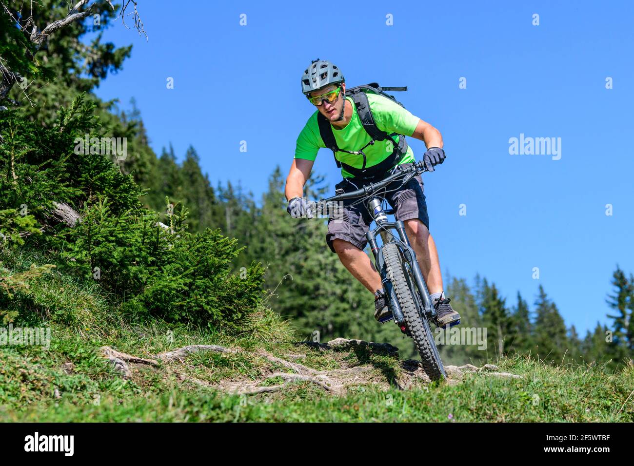 Mountainbiker radeln auf Singletrail Stockfoto