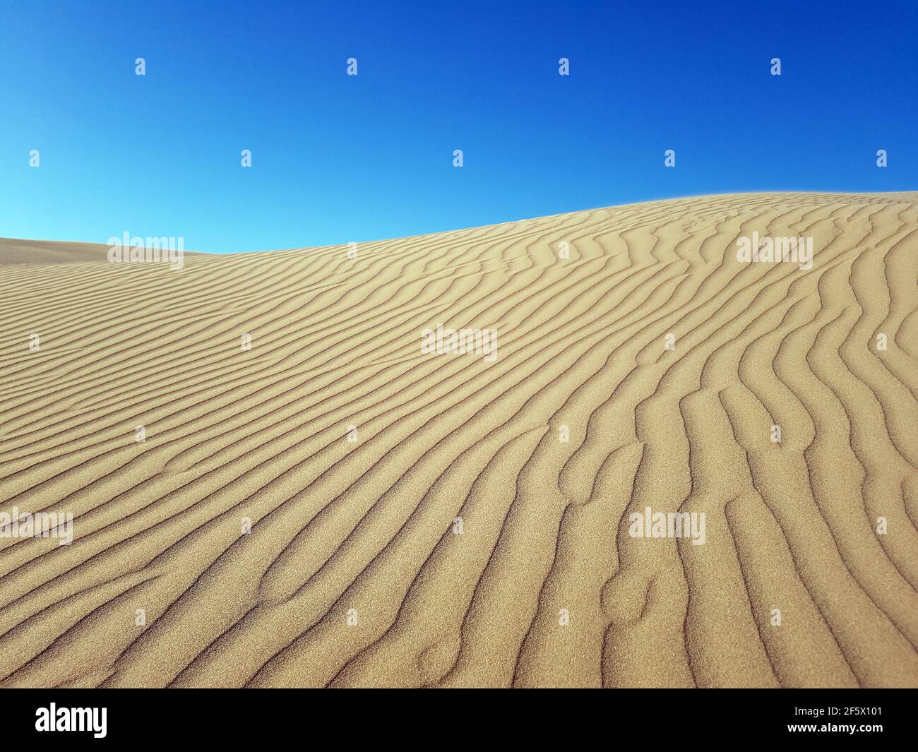 Wunderschöne Wüstensanddünen mit blauem Himmel im Hintergrund. Wind kräuselt Linien oder Wellen Effekte auf Sand aus der Nähe. Stockfoto