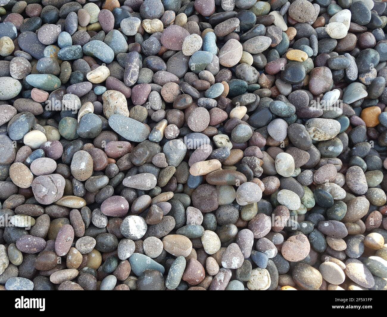 Natürliche Kieselsteine Steine, graue Kies Strand Hintergrund. Stockfoto