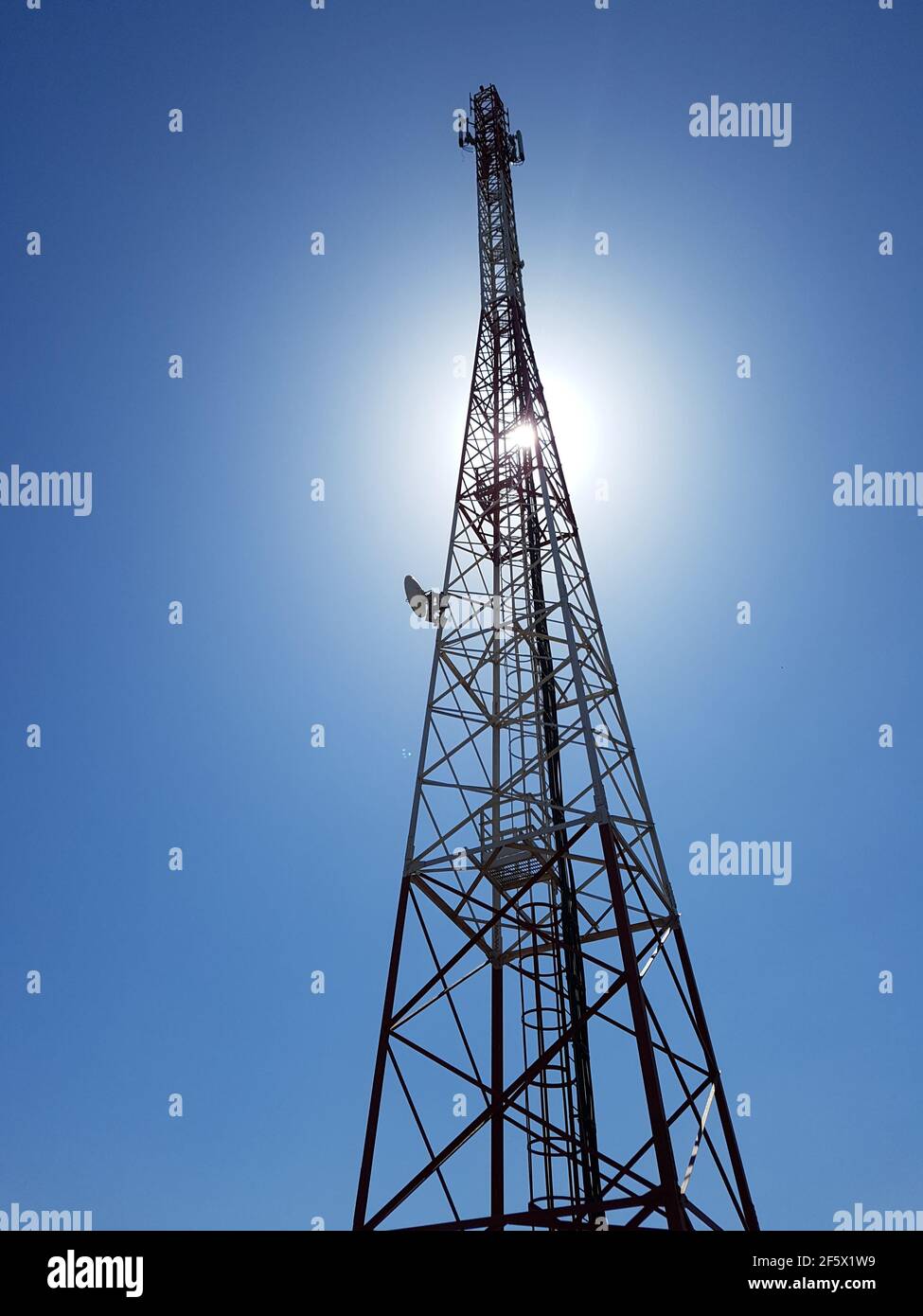 Vertikaler, niedriger Winkel des Mobilfunkturms oder Mobilfunkturms gegen die Sonne am blauen Himmel. Stockfoto