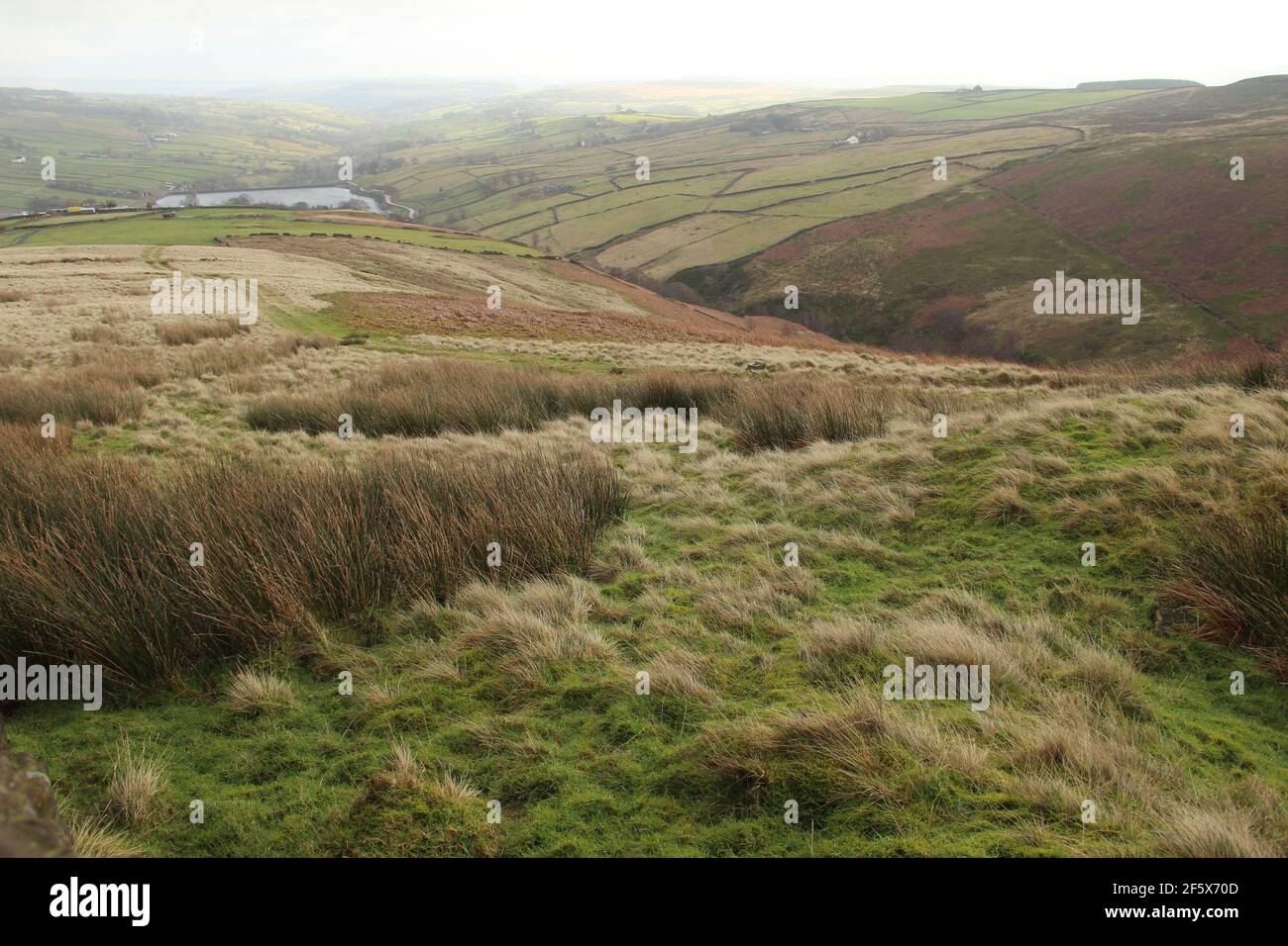 The Lancashire Moors in England, Großbritannien Stockfoto