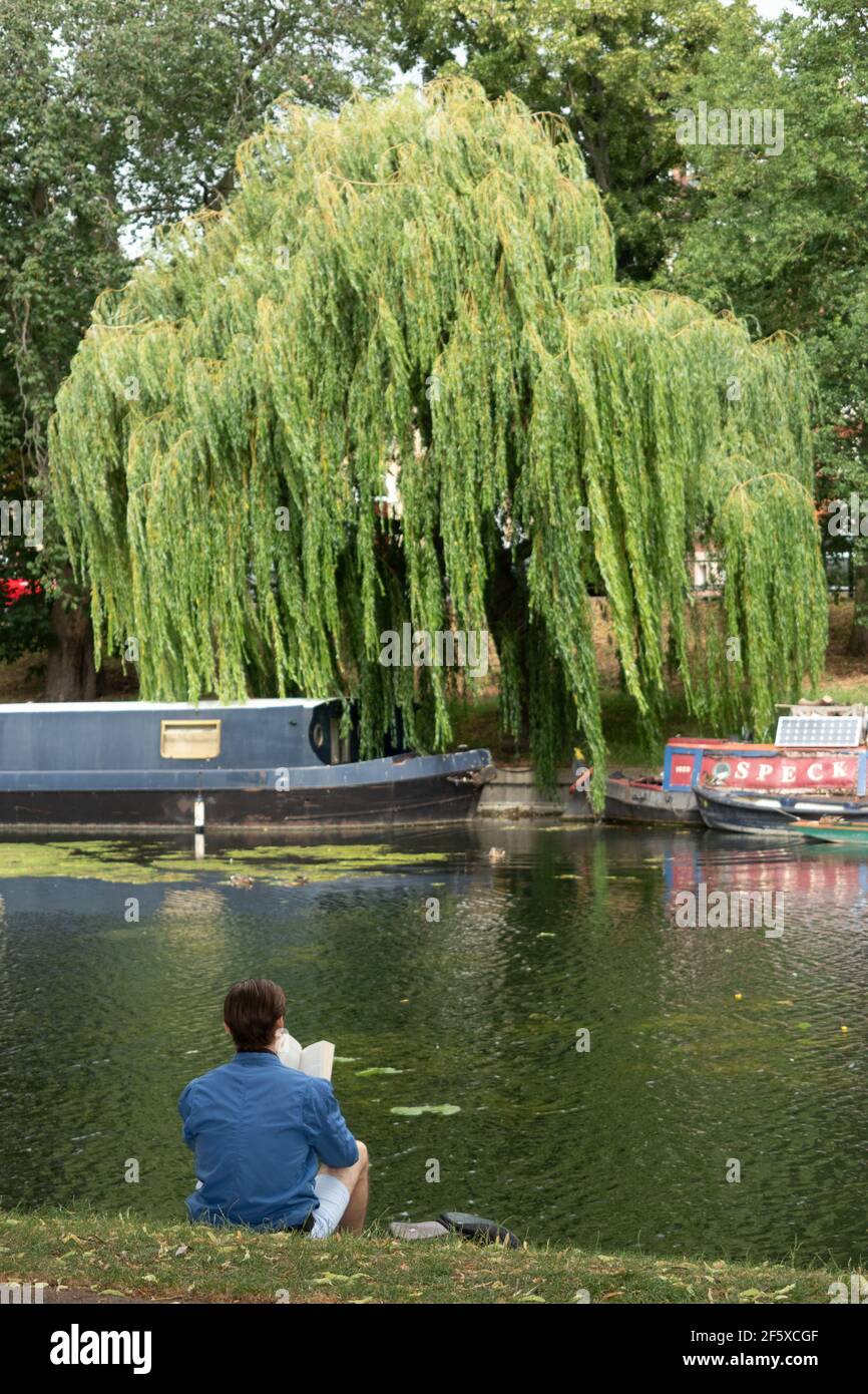 Mann, der allein am Flussufer sitzt und ein Buch in der Nähe liest Die River Cam Cambridge England Stockfoto