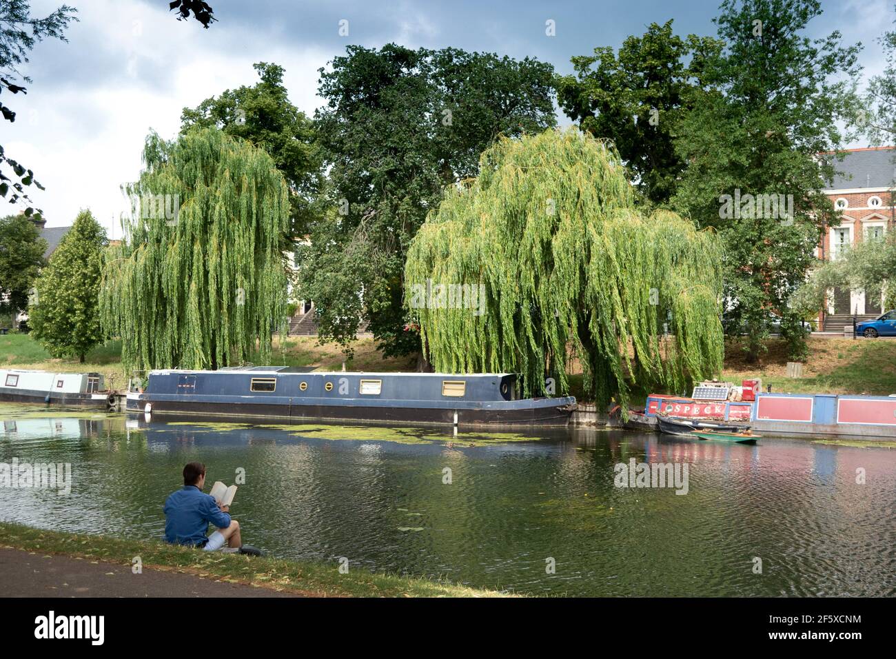 Mann, der allein am Flussufer sitzt und als nächstes ein Buch liest Zum River Cam Cambridge England Stockfoto