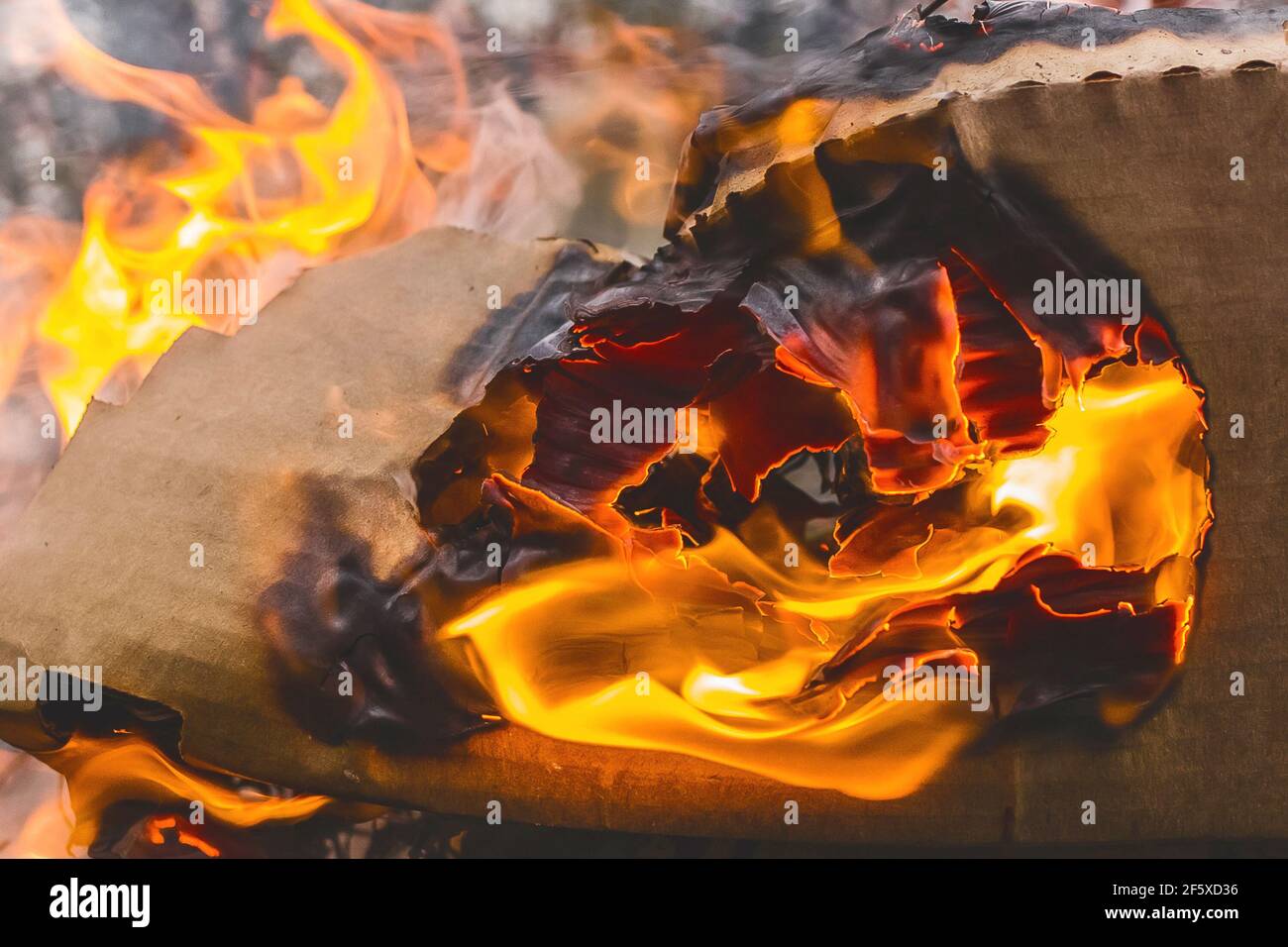 Brennende Kartons rot-orange Flamme, Papierabfälle, Recycling Nahaufnahme. Stockfoto