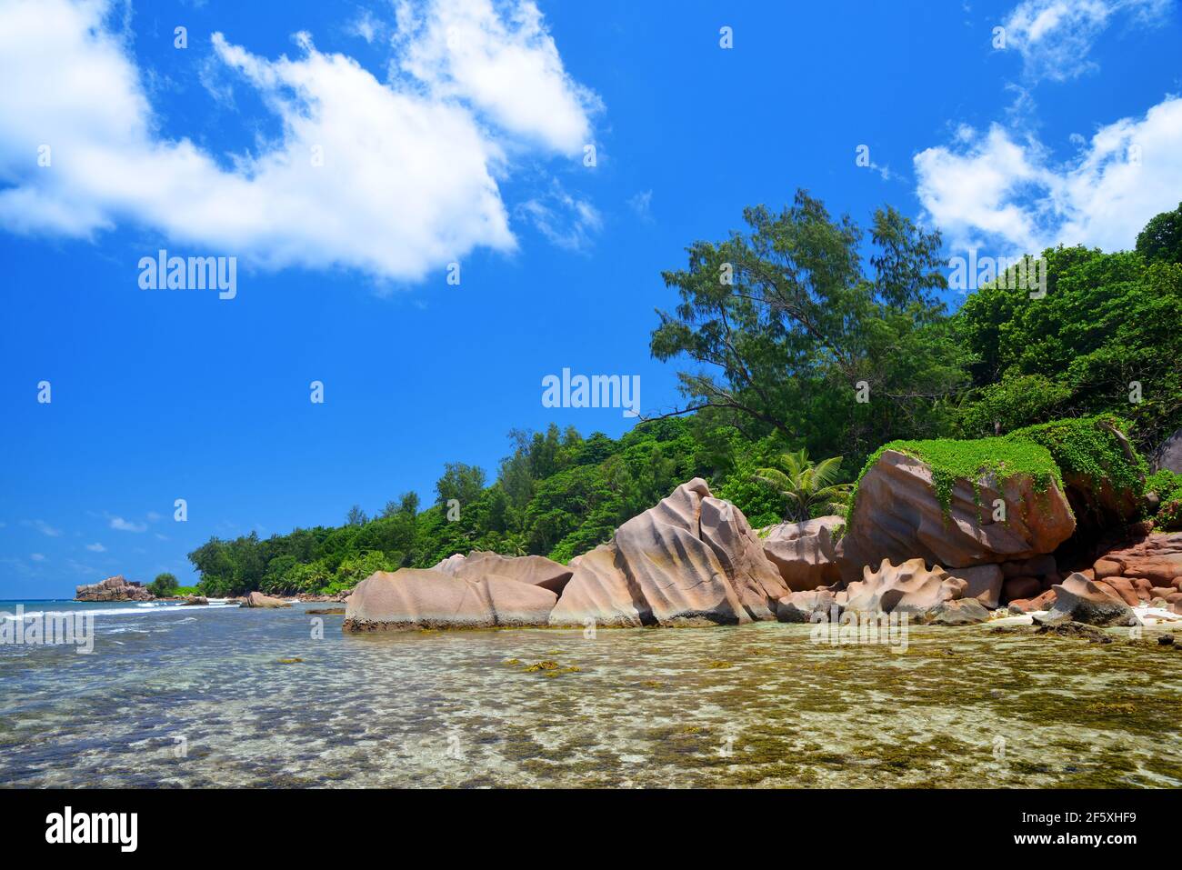 Anse Fourmis Strand in La Digue Island, Indischer Ozean, Seychellen. Tropisches Reiseziel. Stockfoto