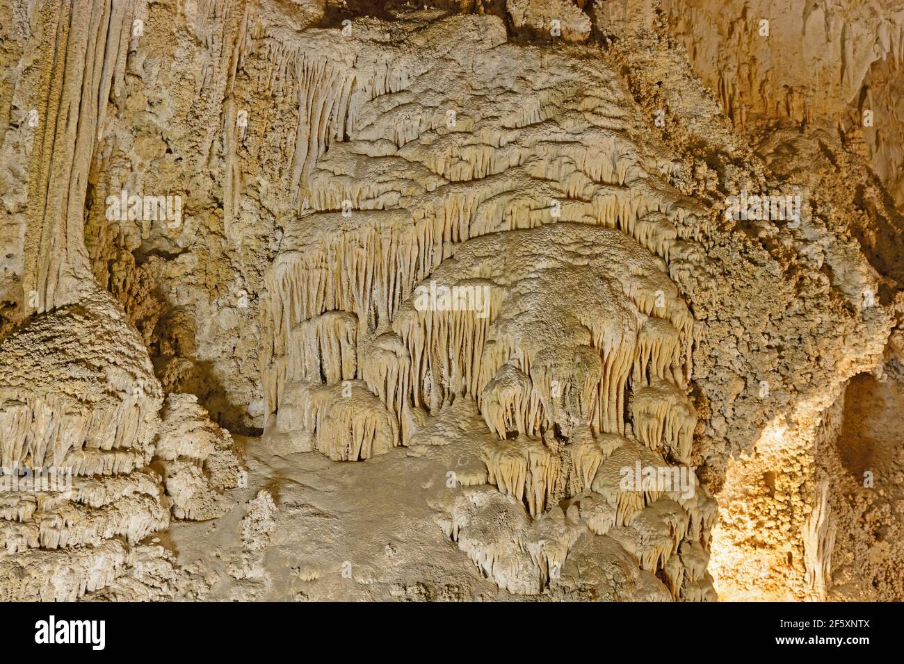 Flowstone Stalagmiten in dem großen Raum von Carlsbad Caverns in New Mexico Stockfoto