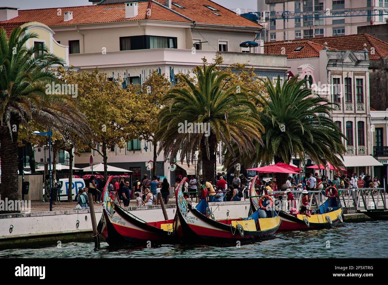 Traditionelle bunte Boote im Kanal von Aveiro Stockfoto