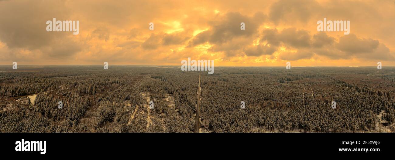 Panorama Nadelwald in Deutschland, während der Sonnenuntergang geht mit wunderbar glühenden Wolken an einem winterlichen Abend. Stockfoto