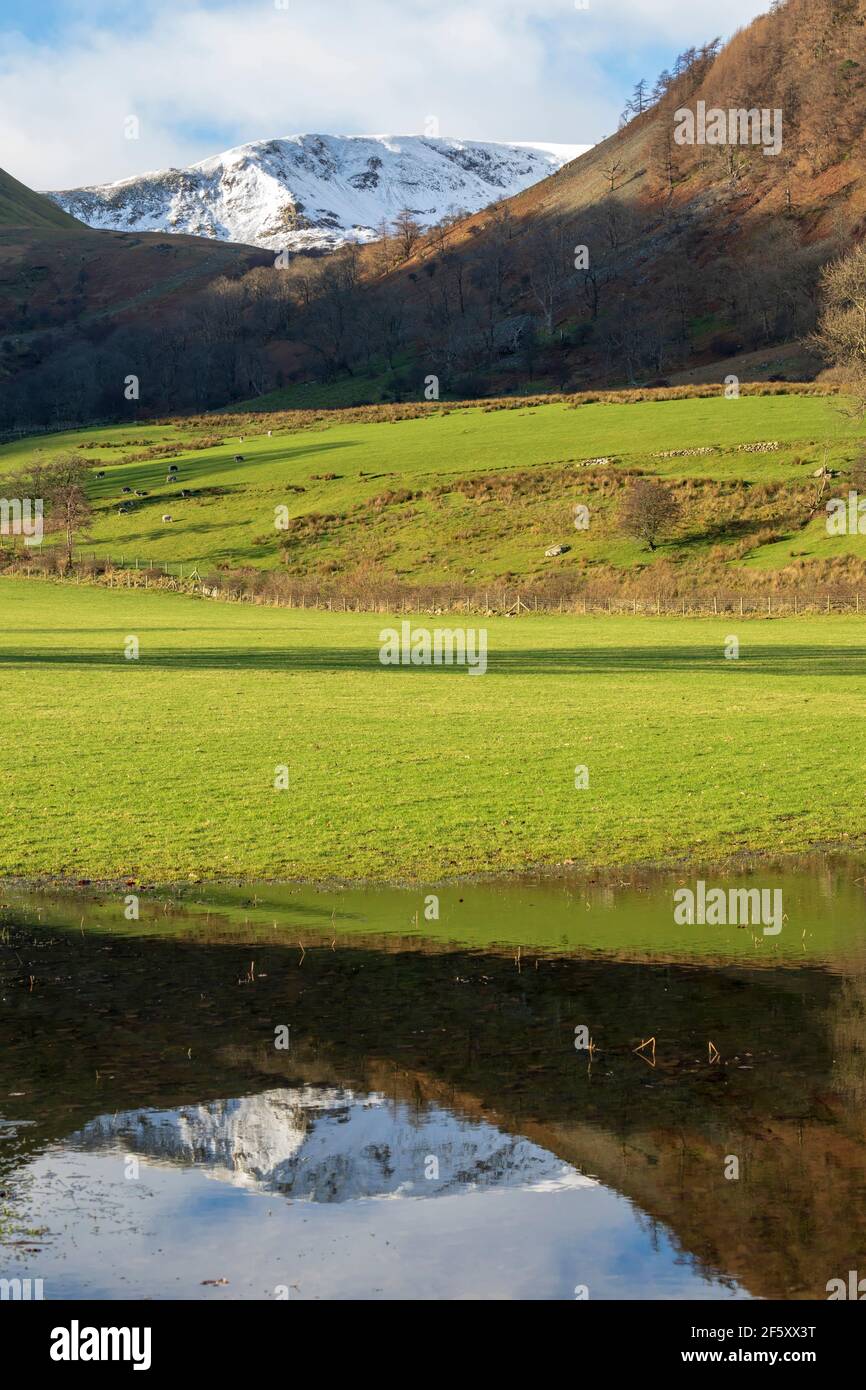 Glencoyne blickt auf die Helvellyn-Reihe von A592, Cumbria Stockfoto
