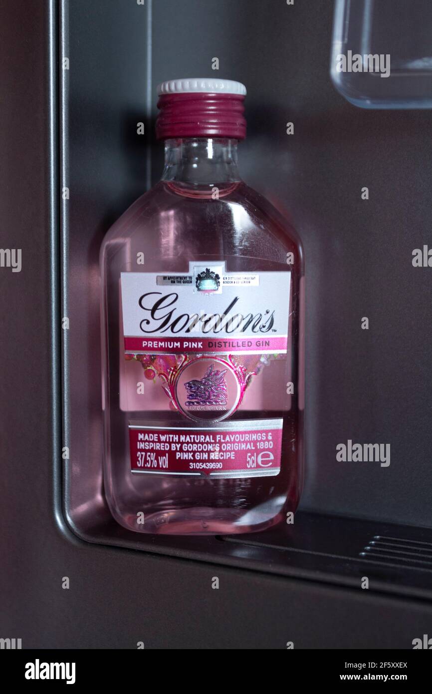 Ein kleiner rosafarbener Gin, der auf dem Wasserspender meines Kühlschranks sitzt. Stockfoto