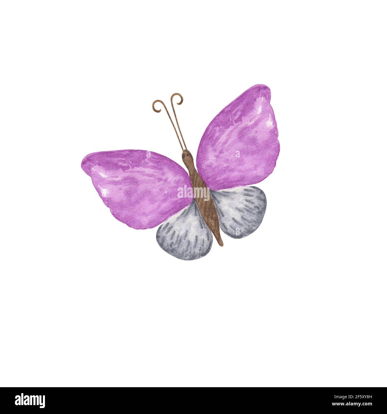 Lila und grau Schmetterling Aquarell-Illustration isoliert auf dem weißen Hintergrund, einfache Hand gezeichnet bunte Cliparts für Karten, Einladungen, Textil Stockfoto