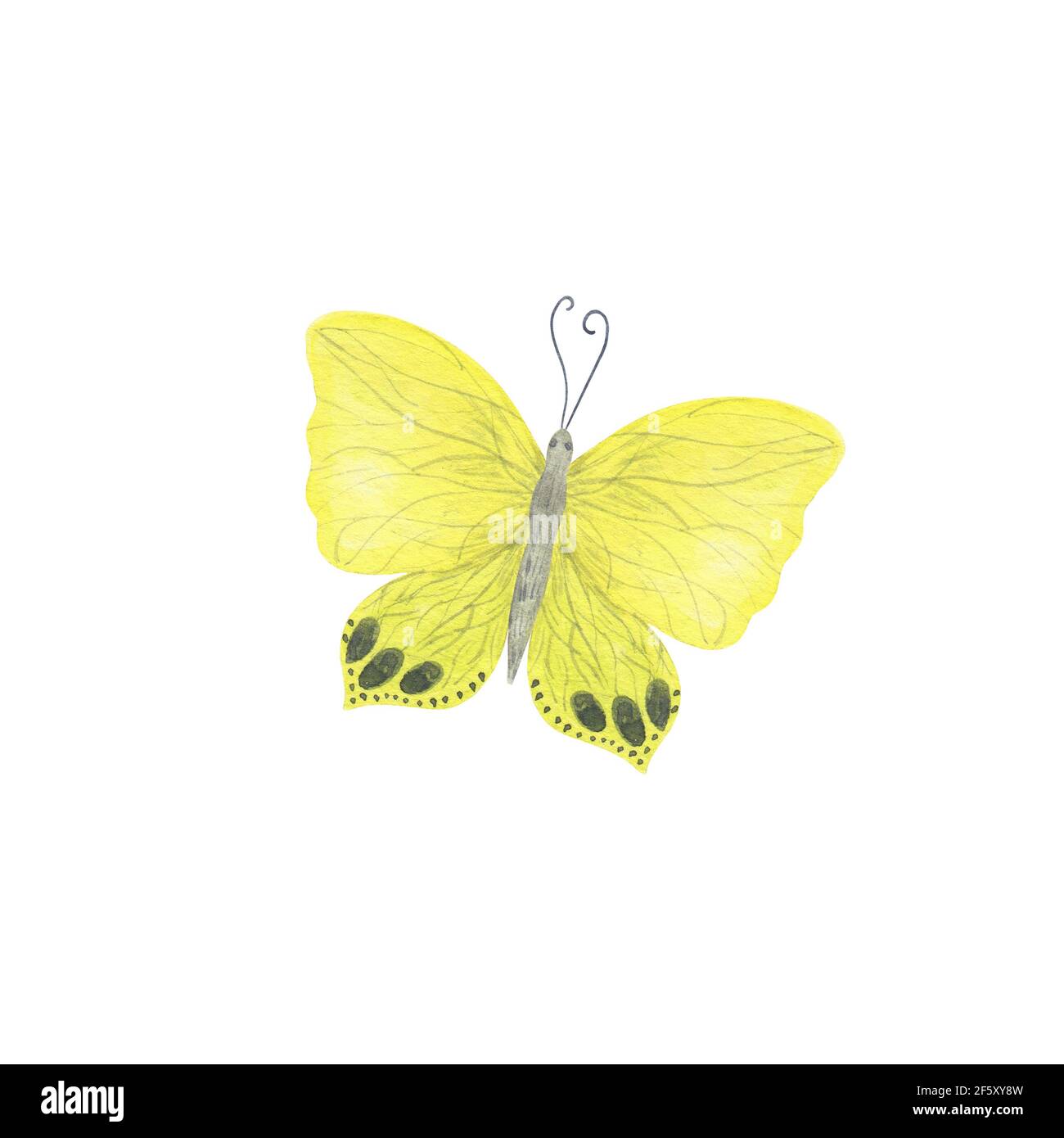 Gelb und grau Schmetterling Aquarell-Illustration isoliert auf dem weißen Hintergrund, einfache Hand gezeichnet bunte Cliparts für Karten, Einladungen, Textil Stockfoto