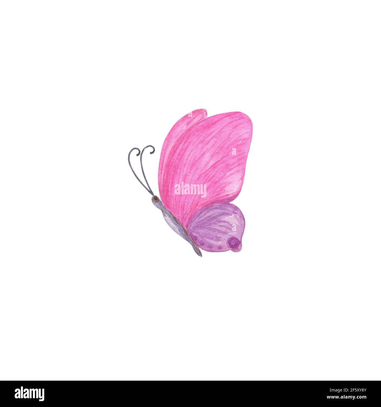 Lila und rosa Schmetterling Aquarell Illustration isoliert auf dem weißen Hintergrund, einfache Hand gezeichnet bunte Cliparts für Karten, Einladungen, Textil Stockfoto