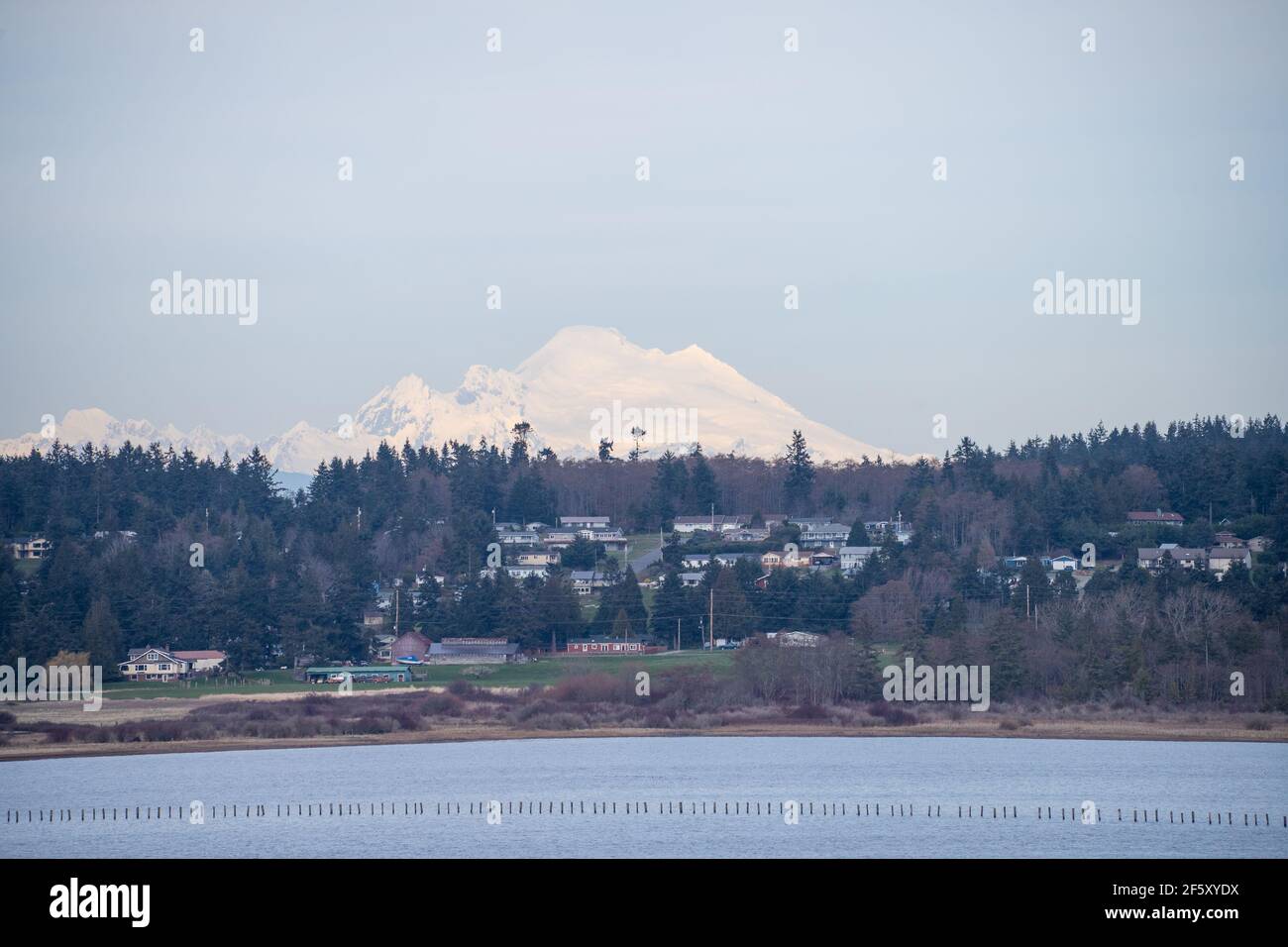 Mount Baker ist ein 10.781 Fuß (3.286 m) Aktiver gletscherbedeckter andesitischer Stratovulkan im Cascade Volcanic Arc und Die Nordkaskaden von Washington i. Stockfoto