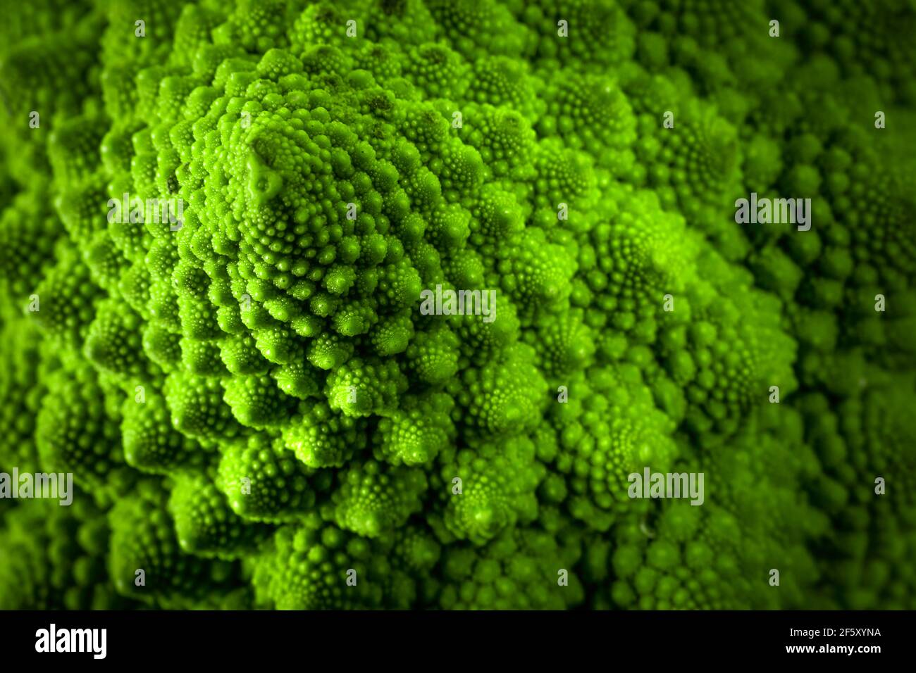 Nahaufnahme der grünen und fraktalen Oberfläche eines romanesco Brokkoli Stockfoto