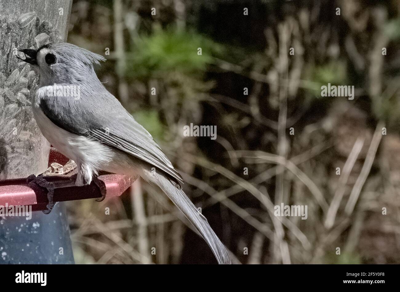 Woolwinephotography.com Stockfoto