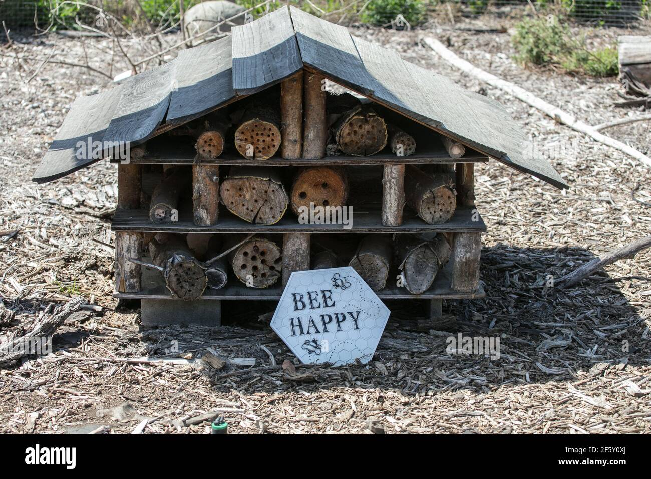 Bee Happy Schild vor Mason Bees Haus. Ein bewaldeter natürlicher Lebensraum mit gebohrten trockenen Baumstämmen, um Bienen anzuziehen. Stockfoto