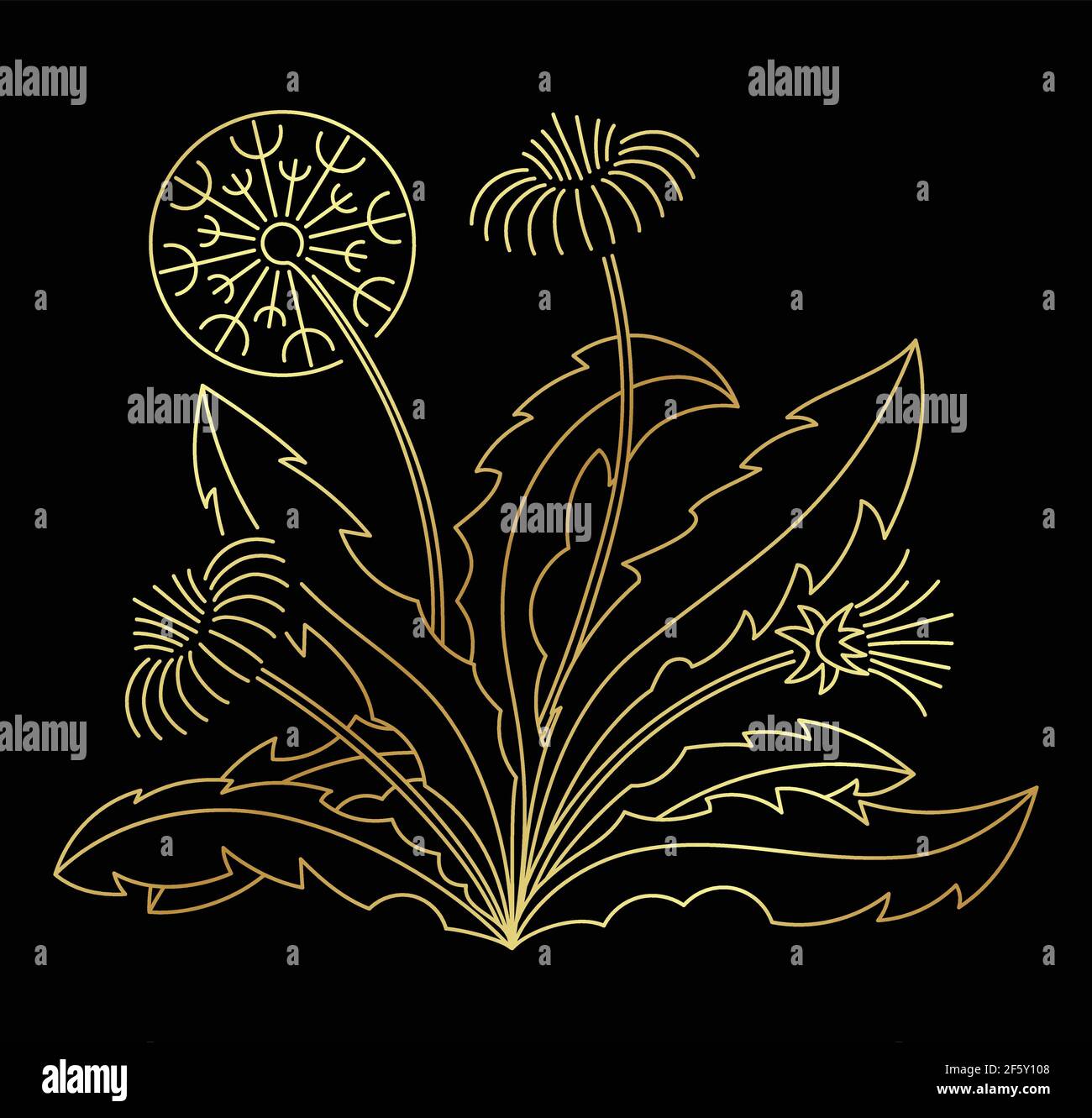 Illustration golden Vektor Linie Kunst Dandelion Stock Vektor