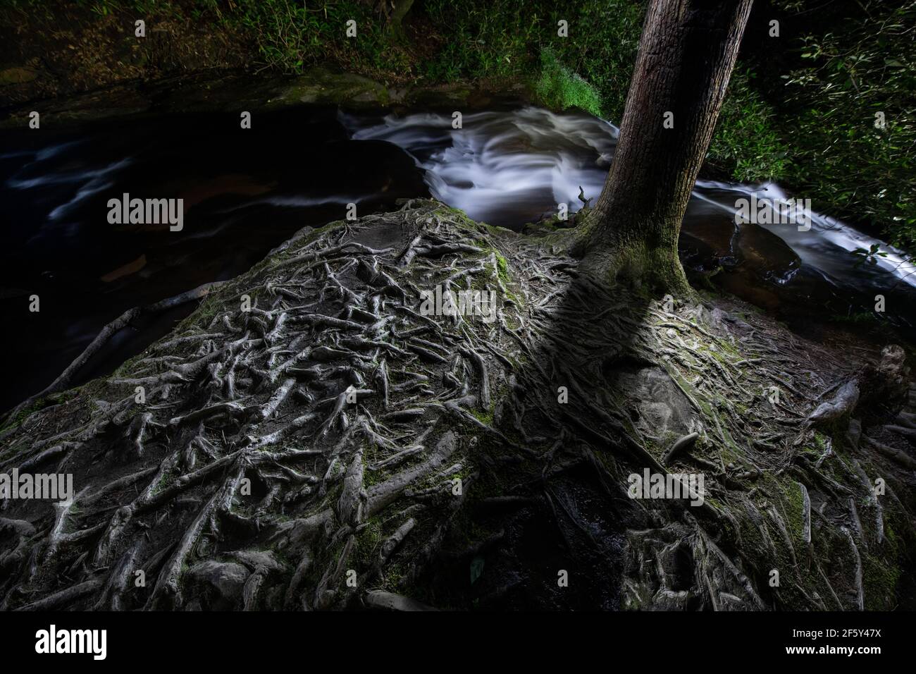 Minnehaha Falls, Epische Kaskade in Chattahoochie Nat'l Forest, Georgia Stockfoto