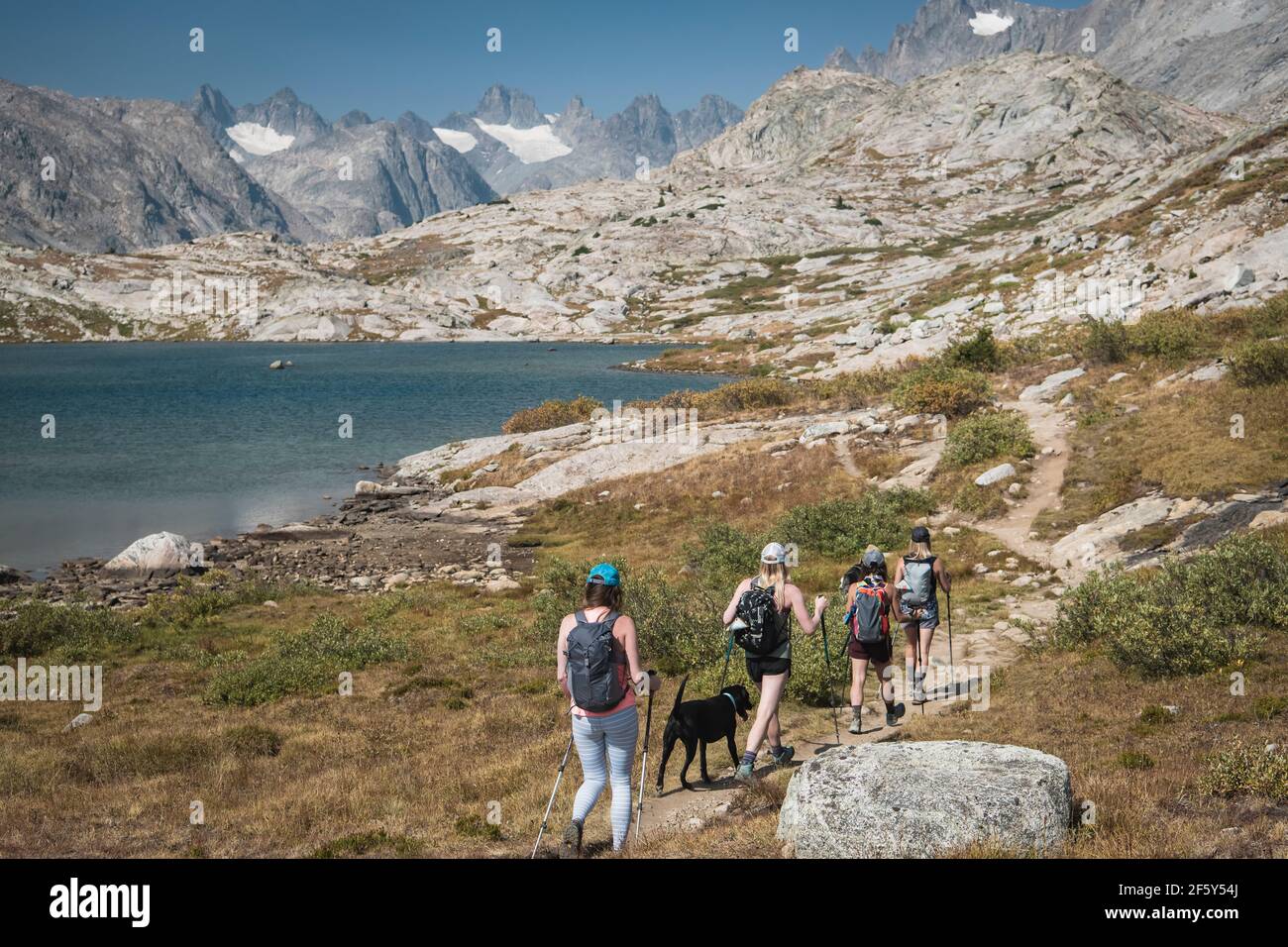 Rückansicht von Freundinnen, die im Urlaub mit Hunden wandern Stockfoto