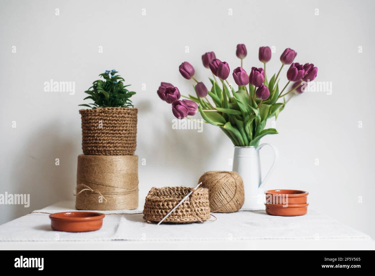 Stillleben mit halbfertigen Stricken, Knäueln, Tulpen und Zimmerpflanzen Stockfoto