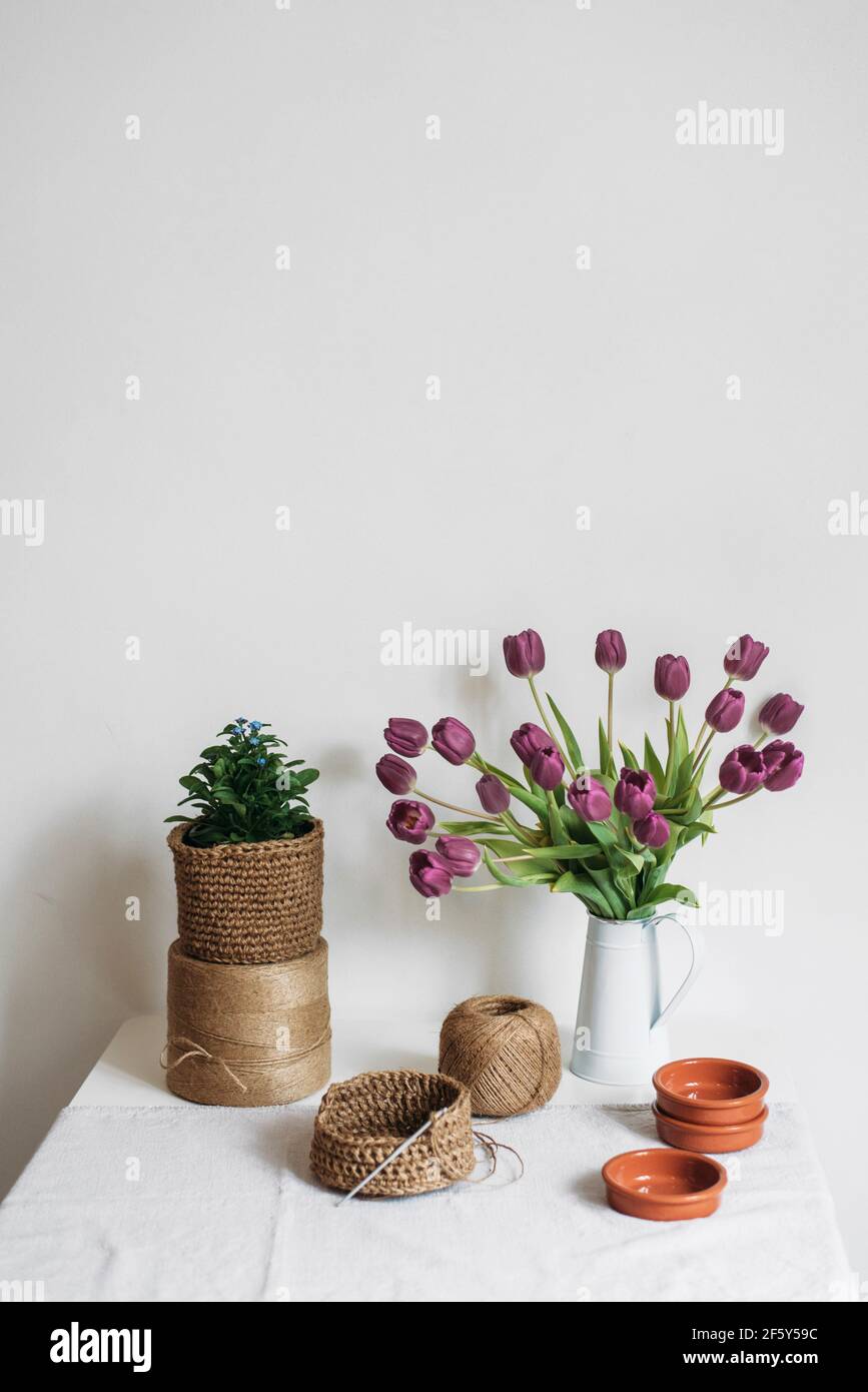 Stillleben mit halbfertigen Stricken, Knäueln, Tulpen und Zimmerpflanzen Stockfoto