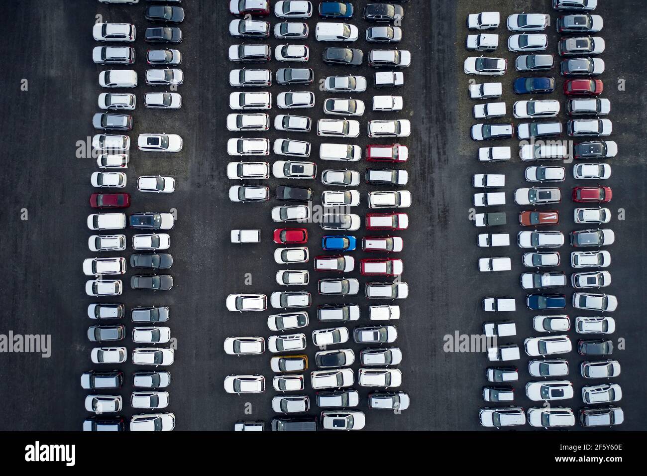 Lagerung von modernen Autos auf dem Parkplatz Stockfoto