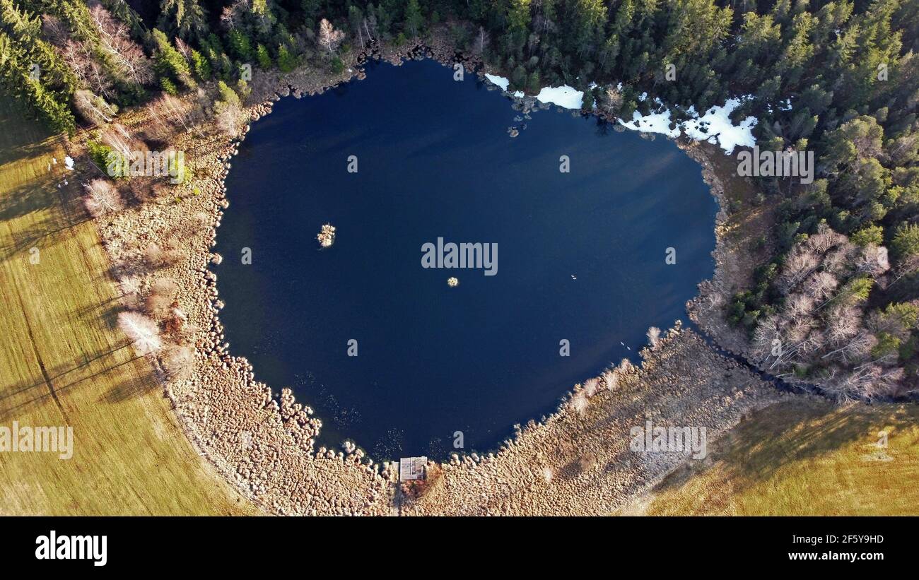 Luftaufnahme mit Drohne im Frühjahr von kleinem See mit Graugänse in bayern Stockfoto