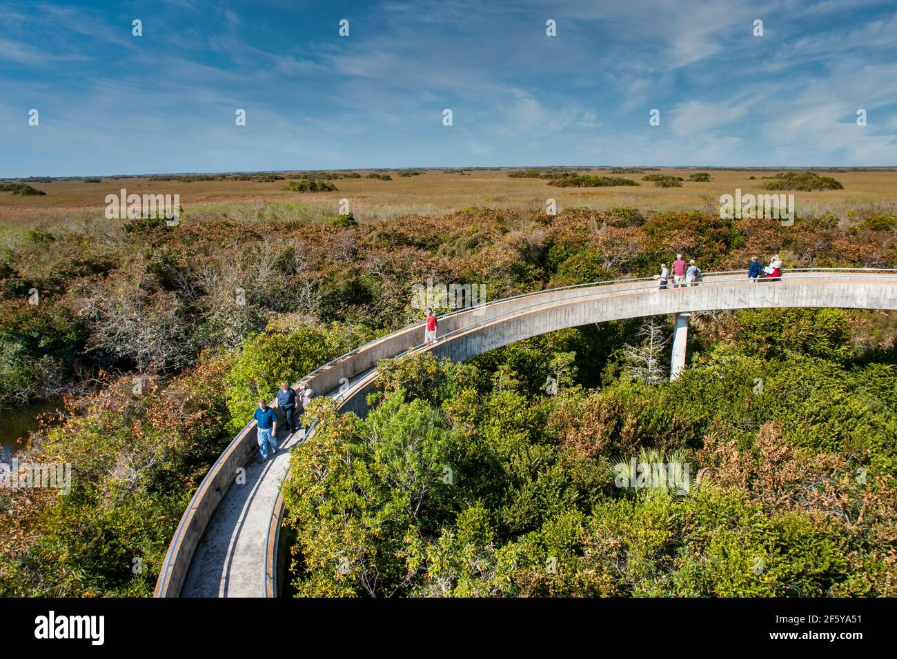 Eine kreisförmige Rampe geht bis zum Observation Tower mit Blick auf Meilen von offenen Glades in Shark Valley im Everglades National Park in Florida. Stockfoto