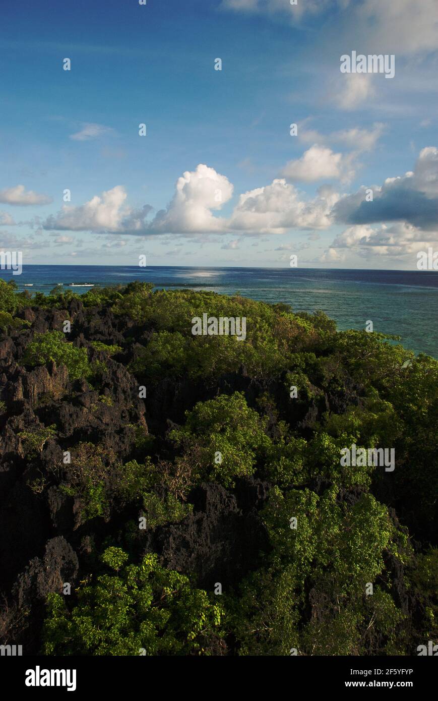 Draufsicht Aufnahme eines Mangrovenwaldes mit einer Lagune irgendwo mitten im Meer. Die herrliche Aussicht ist unter blauem bewölktem Himmel in der Mitte des Th Stockfoto