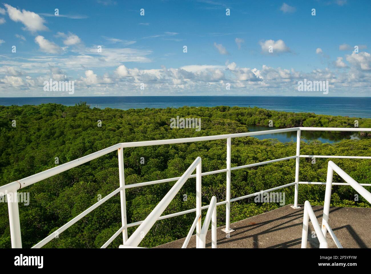 Draufsicht Aufnahme eines Mangrovenwaldes mit einer Lagune irgendwo mitten im Meer. Die herrliche Aussicht ist unter blauem bewölktem Himmel in der Mitte von t Stockfoto