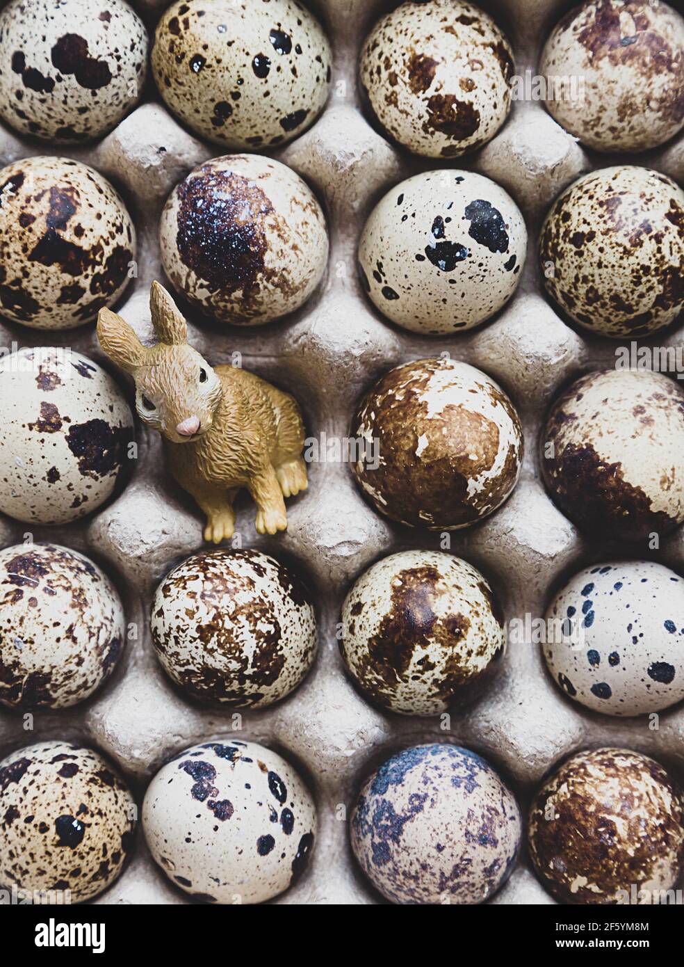 Minimalistische Komposition im Öko-Stil, kleiner süßer Osterhase, in einem Haufen Ostereier in einem neutralen Ton. Das Konzept einer Postkarte oder eines Posters für t Stockfoto