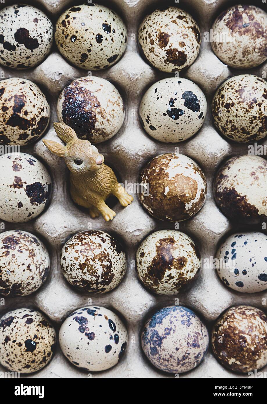 Minimalistische Komposition im Öko-Stil, kleiner süßer Osterhase, in einem Haufen Ostereier in einem neutralen Ton. Das Konzept einer Postkarte oder eines Posters für t Stockfoto